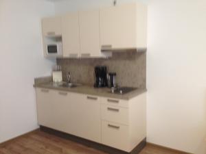 A kitchen or kitchenette at Ferienwohnungen Karwendel Camping