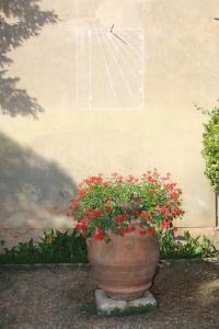 A garden outside Villa del Cardinale