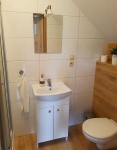 a bathroom with a white sink and a toilet at Agroturystyka Pawlikówka in Lipniki