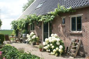 ein Backsteinhaus mit weißen Blumen davor in der Unterkunft Hoeve Suydeinde in Aarlanderveen