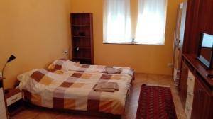 1 dormitorio con cama, ventana y TV en Cute apartment close to the center en Budapest