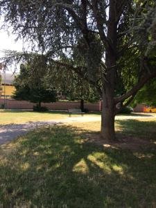 A garden outside La Porta Nel Giardino