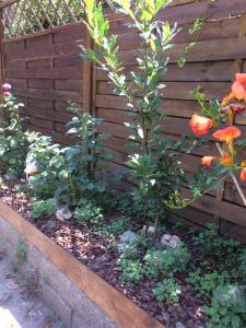 A garden outside La Porta Nel Giardino