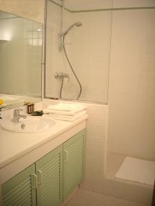 a bathroom with a sink and a shower at Résidence les Grands Pins in Gréoux-les-Bains