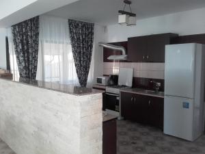 una cucina con piano di lavoro e frigorifero di Pensiunea Drumul Voievozilor a Arefu