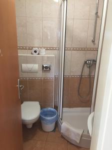 a small bathroom with a toilet and a shower at Apartments Aldomar in Biograd na Moru