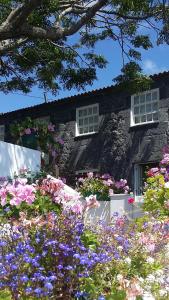 una casa de piedra con flores delante en Casa do Zé - AL en Manadas
