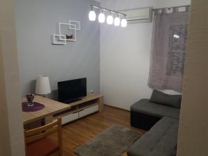 - un salon avec un canapé et une télévision dans l'établissement Apartman Matić, à Ston