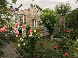 un jardin en face d'une maison ornée de roses dans l'établissement Guesthouse ''Ashot Shalunts'', à Goris