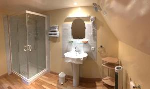 Koupelna v ubytování Hotel Spa Le Relais Des Moines + 25 fotografií