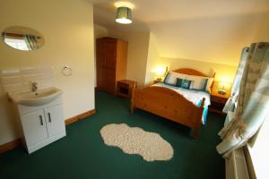 a bedroom with a bed and a sink and a mirror at Trem Machno in Penmachno