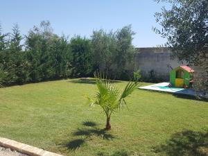 una piccola palma in un cortile con casetta per i giochi di Villetta Via Lecce a Galatone