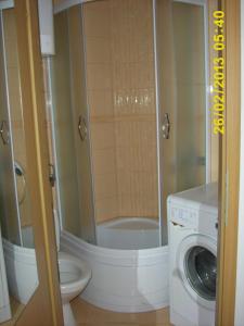 a bathroom with a toilet and a washing machine at Lily in Koper
