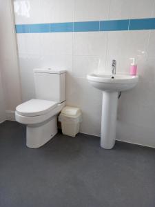a bathroom with a toilet and a sink at The Royal Hotel in Jedburgh