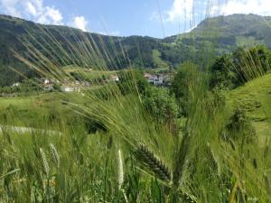 Afbeelding uit fotogalerij van Etxeberri Landa Etxea in Régil