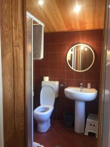 a bathroom with a toilet and a sink at Hotel Camping Grivola in Valsavarenche +45 photos