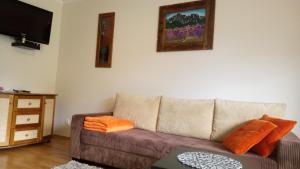 Televízia a/alebo spoločenská miestnosť v ubytovaní Apartament Krokus SPA