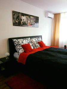 シオーフォクにあるJelka Apartment Siófokのベッドルーム1室(黒いベッド1台、赤い枕付)