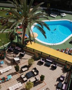 una vista aérea de una piscina con sillas y una palmera en Apartamentos las Dunas, en Playa del Inglés