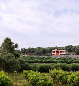 PigiにあるKastro studiosの背景の畑の眺め