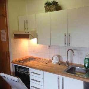 Kuchyň nebo kuchyňský kout v ubytování Apartments Monika
