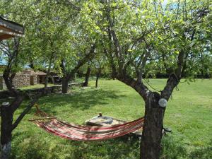 a hammock hanging from a tree in a park at Granichar 2 Boards in Granichar