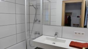 La salle de bains est pourvue d'un lavabo, d'une douche et d'un miroir. dans l'établissement FeWo Heitmann, à Oberjoch