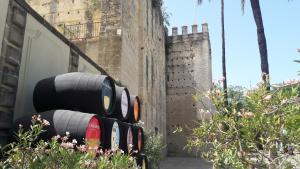 Fotografie z fotogalerie ubytování Sherryflat Bodega San Blas v destinaci Jerez de la Frontera