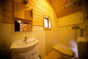 un baño con lavabo e inodoro en Domačija Koklej - Apartments Vintage Vacation, en Luče 41 fotos más