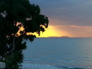 un coucher de soleil sur l'eau avec un arbre au premier plan dans l'établissement Vlachos Apartments Acharavi, à Acharavi