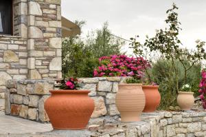 A garden outside Ellinas Homes