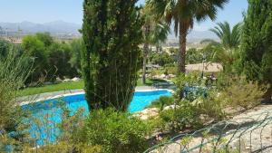 a swimming pool in a garden with a palm tree at Cala Golf in Mutxamel