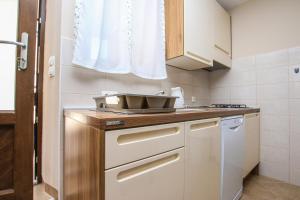 Apartman Ajhner的厨房或小厨房