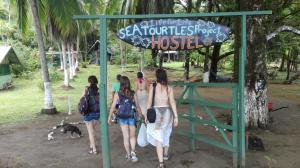 Hosté ubytování Life for Life Hostel Drake Bay Home of Sea Turtle Marine Conservation Project Osa Peninsula near San Josecito Beach