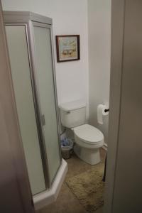 uma casa de banho com um WC e uma cabina de duche em vidro. em Summer Leaf em Reseda