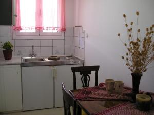 Kuhinja oz. manjša kuhinja v nastanitvi Pefki Villas