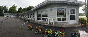 a coffee shop with flowers in a parking lot at Bay Motel in North Bay
