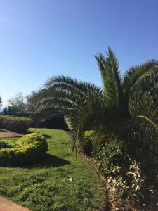 Imagen de la galería de Jardins En Ville, en Bastia