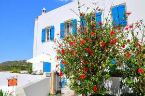 a white building with blue windows and a tree with red flowers at Margarita Hotel in Kythira