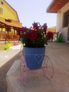 a basket filled with flowers on a bike at Apartments Iva in Star Dojran