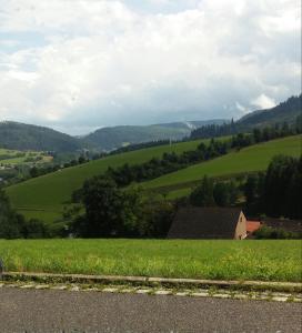 ein grüner Hügel mit einem Haus inmitten eines Feldes in der Unterkunft Angelina in Baiersbronn