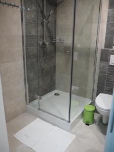 Kúpeľňa v ubytovaní Apartament RED FLOWERS + 26 fotografií