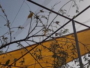 Fotografie z fotogalerie ubytování Complejo Rural Ibipozo v destinaci Pozo Alcón