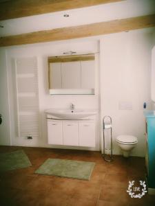 a bathroom with a sink and a toilet at Gute Stube in Weiden am See