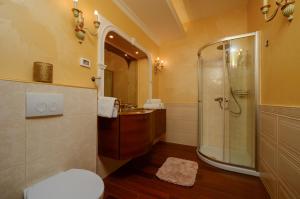 a bathroom with a shower and a toilet and a sink at Bella & Stella rooms in Buje