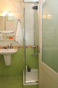 a green bathroom with a shower and a sink at Traditional Houses Atzanou in Samothraki
