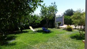 A garden outside Villa Cristina