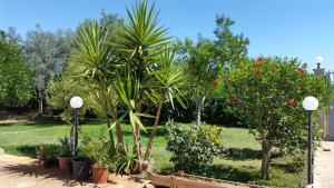 A garden outside Villa Cristina