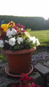 ein großer Blumentopf auf dem Boden in der Unterkunft Castle View B&B in Freshford