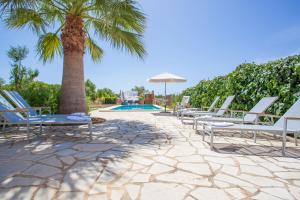 a row of chairs and a palm tree next to a pool at Son Segi in Sant Llorenç des Cardassar